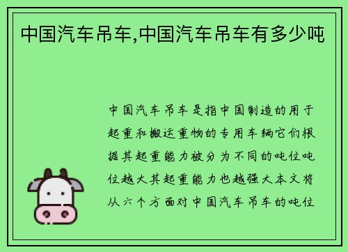 中国汽车吊车,中国汽车吊车有多少吨