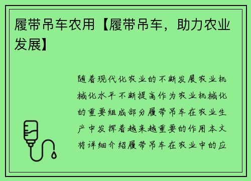 履带吊车农用【履带吊车，助力农业发展】