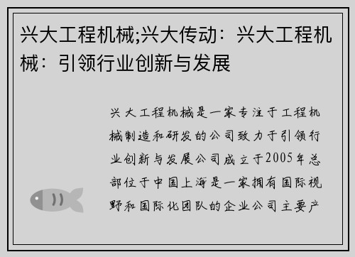 兴大工程机械;兴大传动：兴大工程机械：引领行业创新与发展