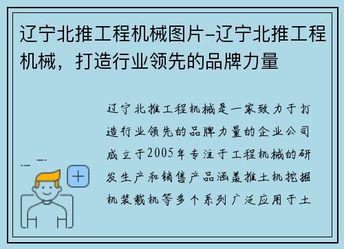 辽宁北推工程机械图片-辽宁北推工程机械，打造行业领先的品牌力量